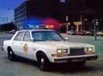 Plymouth Gran Fury Pursuit 1982 года
